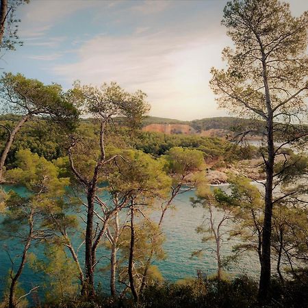 Les Pieds Tanques - Chambres D'Hotes - Calanque A Pieds Saint-Cyr-sur-Mer Εξωτερικό φωτογραφία