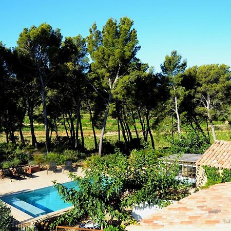 Les Pieds Tanques - Chambres D'Hotes - Calanque A Pieds Saint-Cyr-sur-Mer Εξωτερικό φωτογραφία