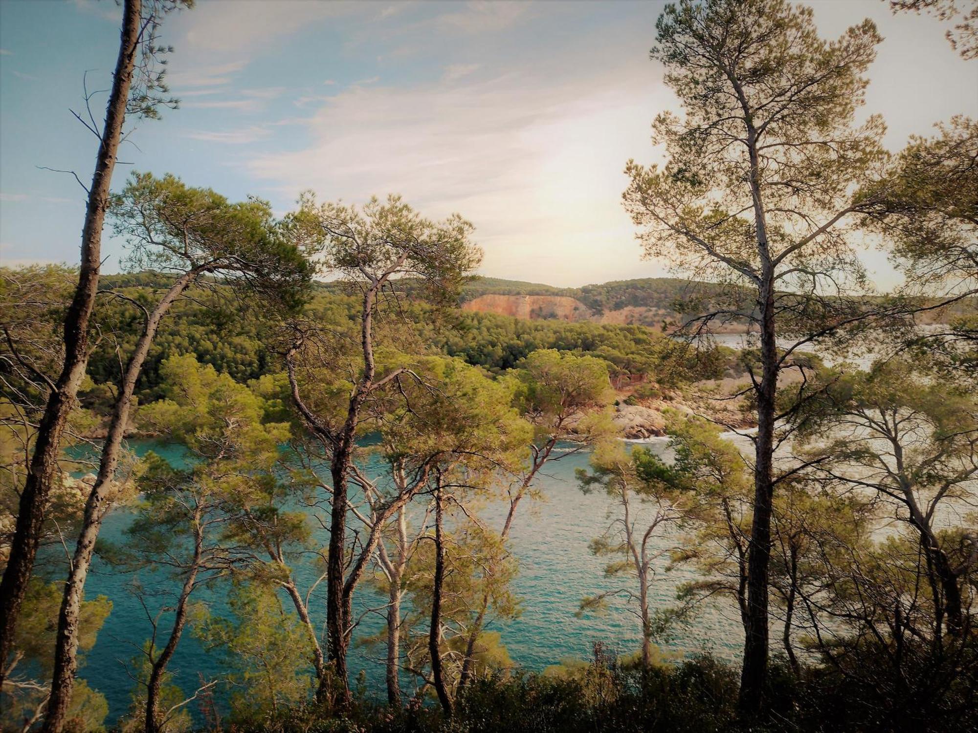 Les Pieds Tanques - Chambres D'Hotes - Calanque A Pieds Saint-Cyr-sur-Mer Εξωτερικό φωτογραφία