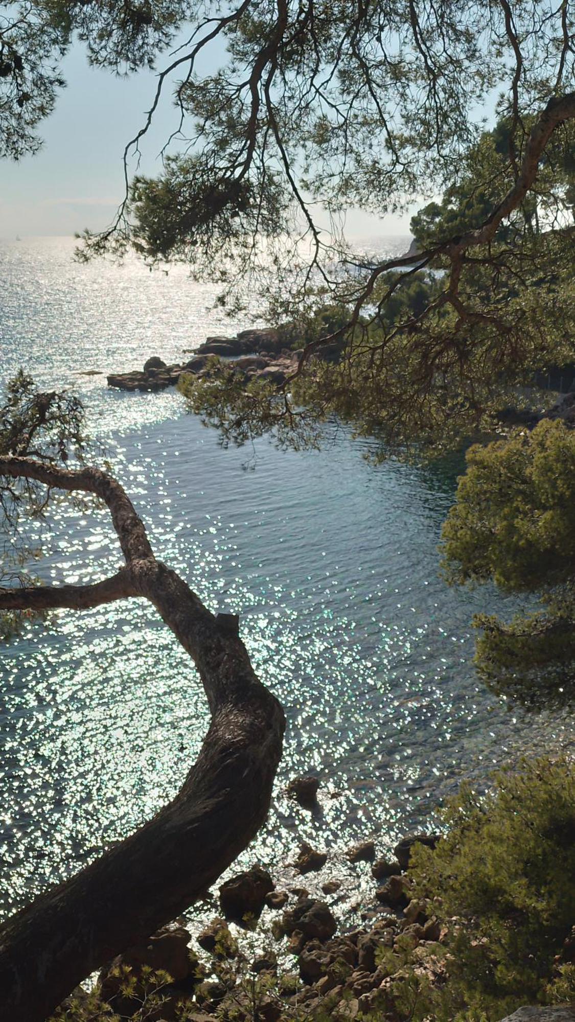 Les Pieds Tanques - Chambres D'Hotes - Calanque A Pieds Saint-Cyr-sur-Mer Εξωτερικό φωτογραφία